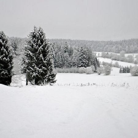 Ferienwohnung FeWo Radi an der Buchberger Leite Hohenau Exterior foto