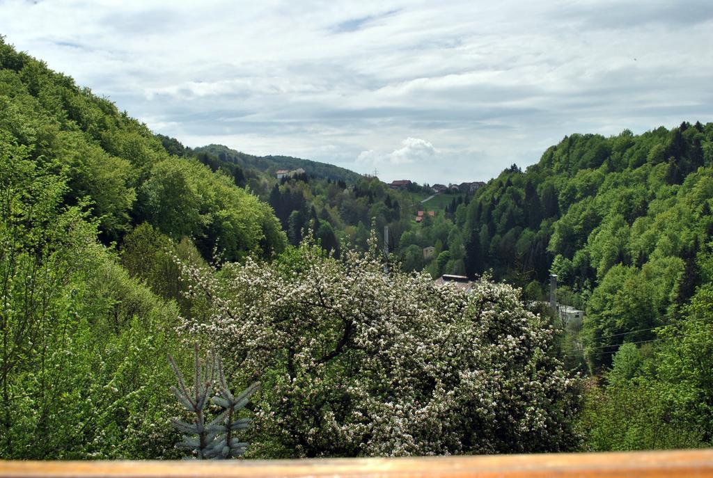 Ferienwohnung FeWo Radi an der Buchberger Leite Hohenau Exterior foto